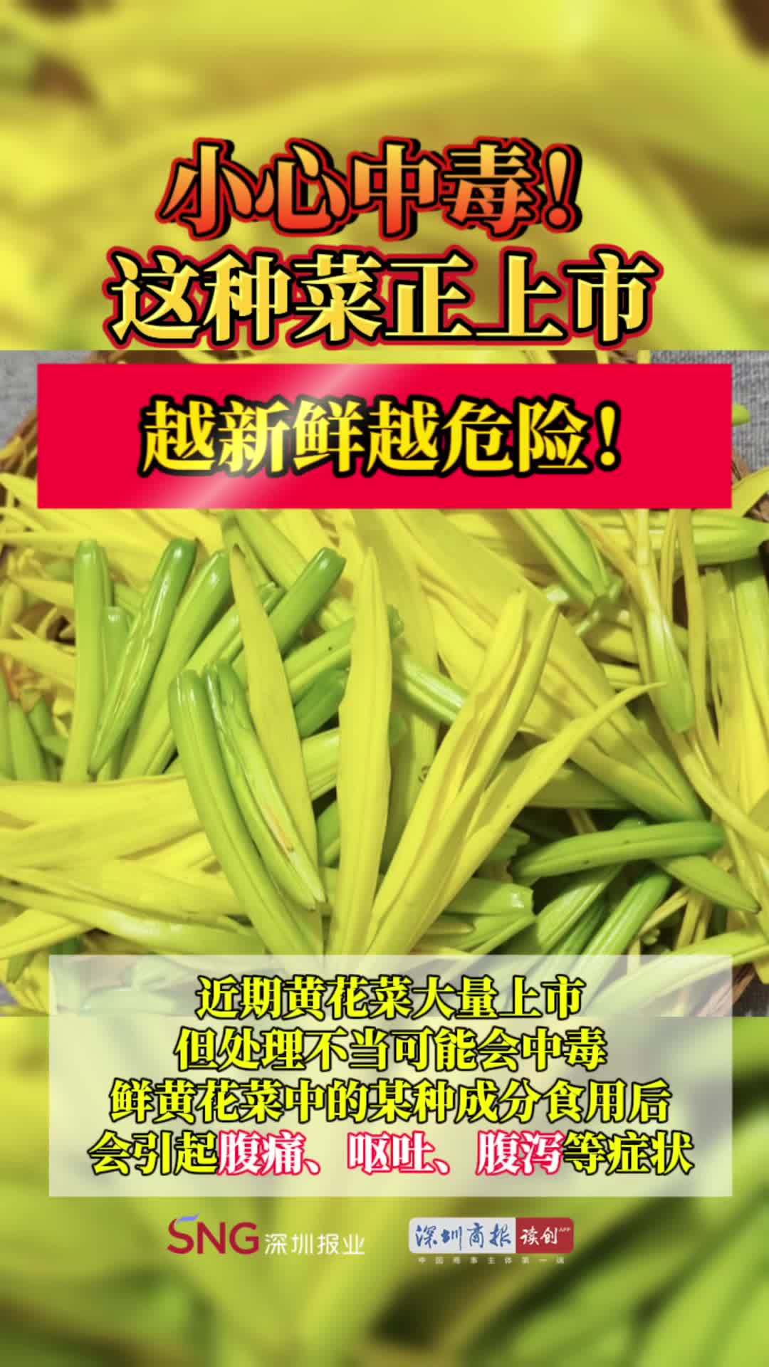小心中毒!这种菜正上市,越新鲜越危险!黄花菜 鲜黄花菜 中毒