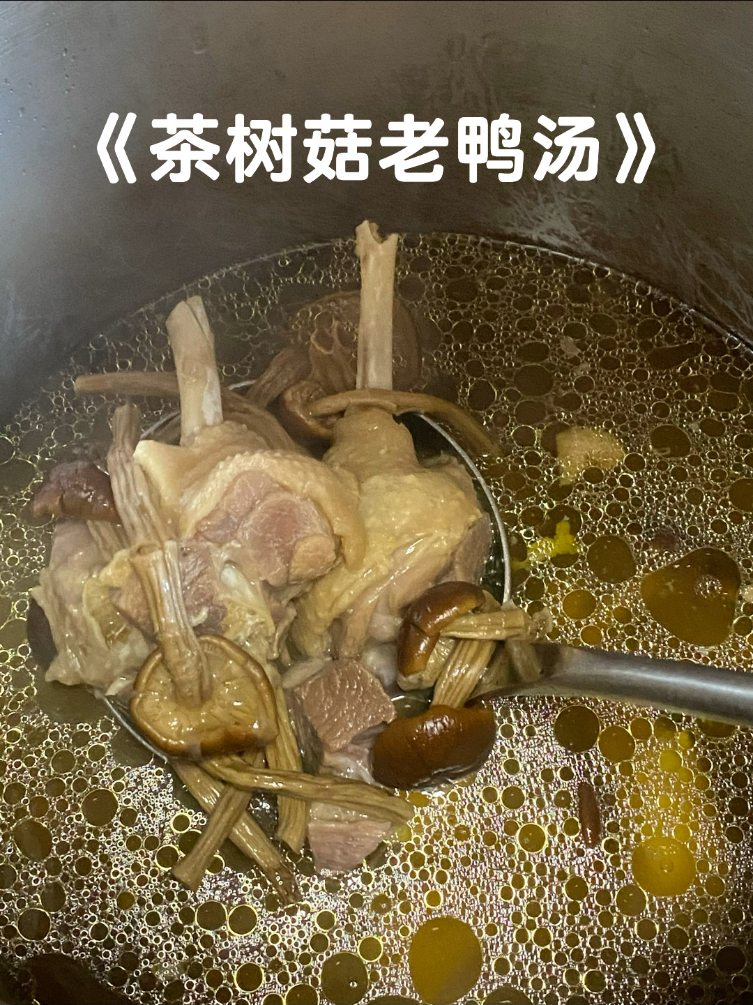 谁能拒绝一碗热乎乎的茶树菇老鸭汤