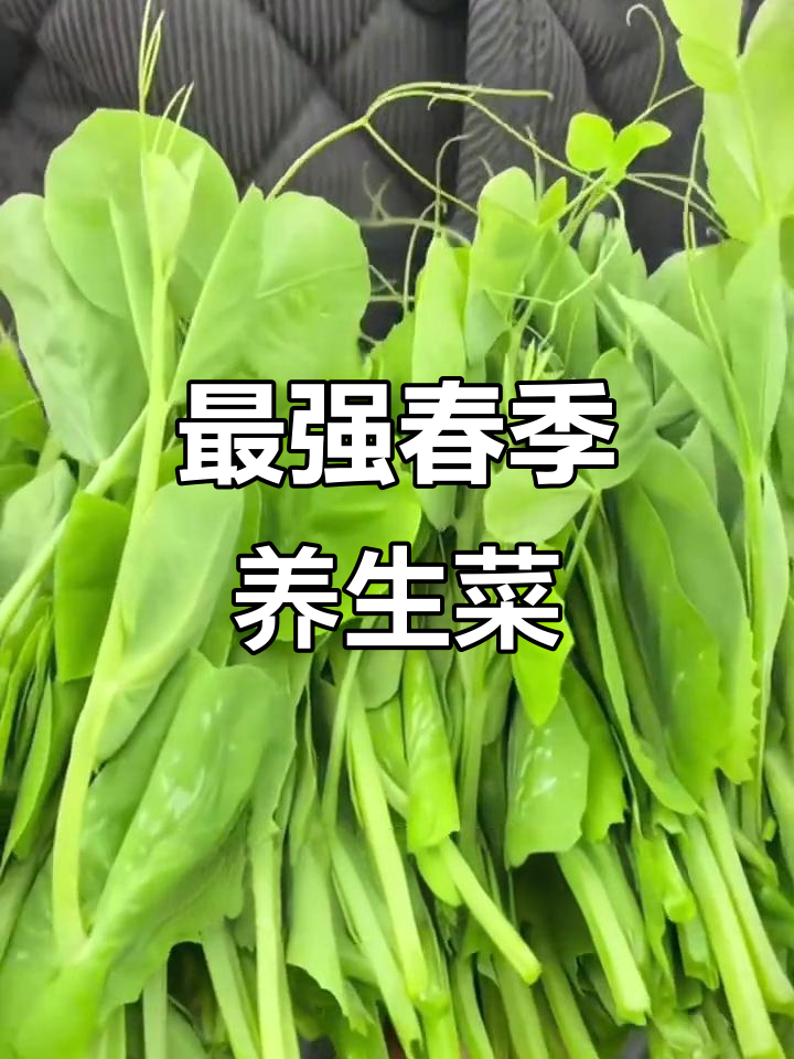 春天最应季的七大养生菜,错过就亏了!