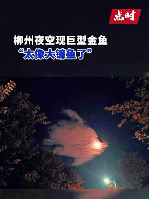 7月22日,广西柳州,不少网友拍摄到城市上空罕见云朵,宛如在夜晚天空飞翔的“大鱼”。图片显