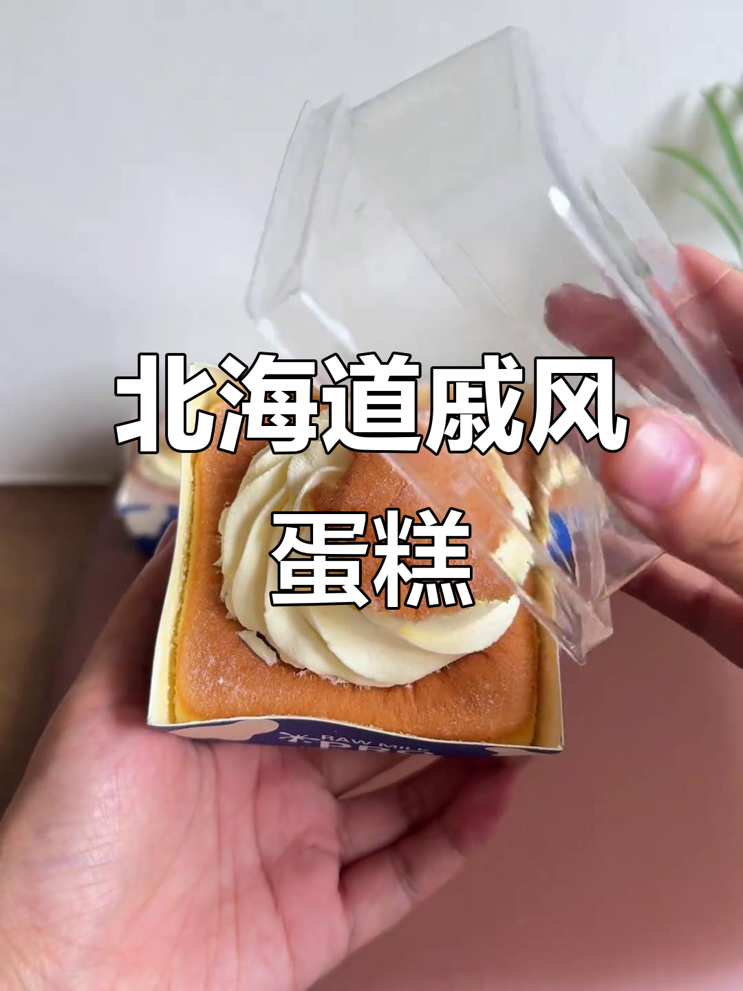 北海道戚风蛋糕PLUS,一口沦陷!绿姿新品惊艳味蕾