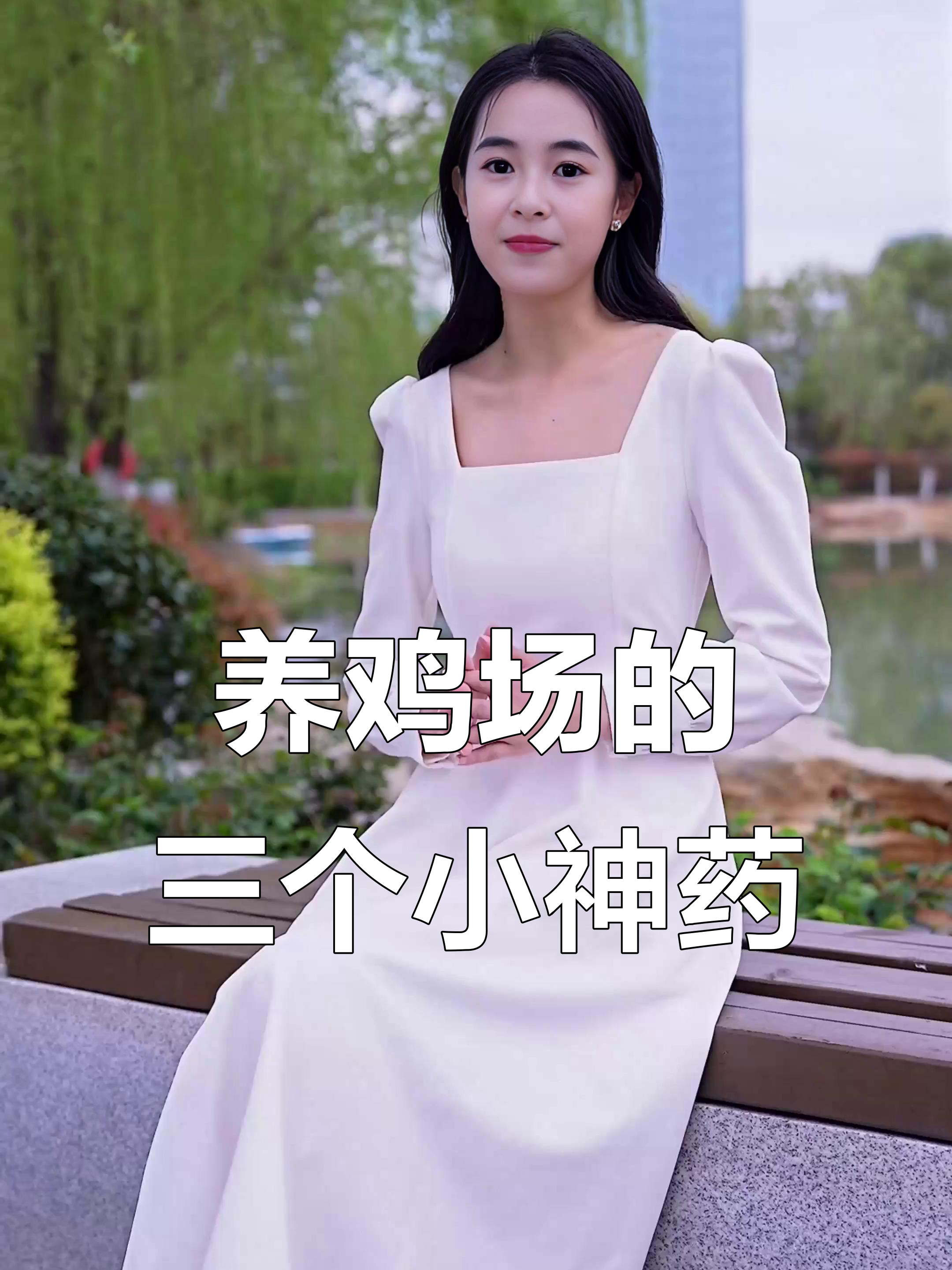 大型养鸡场必备的三大神奇药物,效果超乎想象