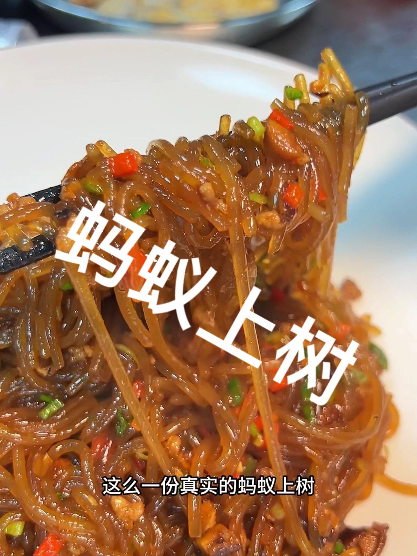 家里条件差的可以不用放蚂蚁 蚂蚁上树