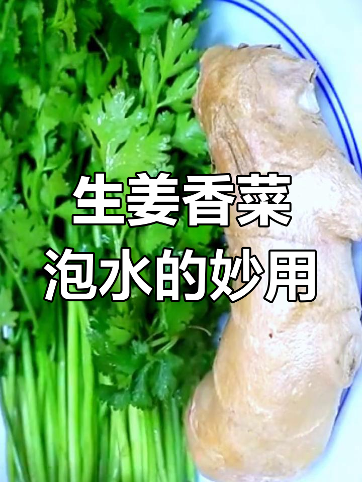 生姜香菜泡水,功效惊人