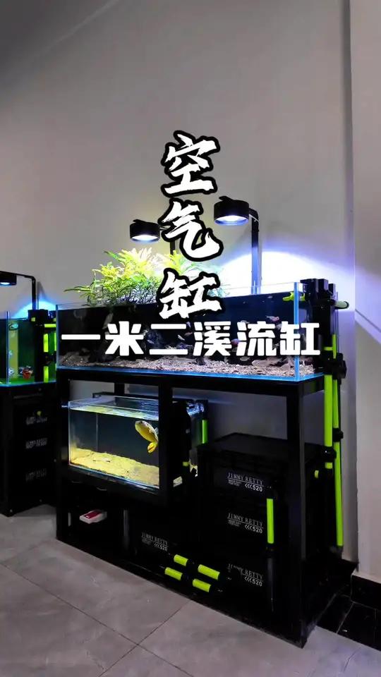 工业风与溪流的碰撞！黑绿配色顶植造景！这配色谁看了不迷糊？#创作者中心 #创作灵感 #溪流