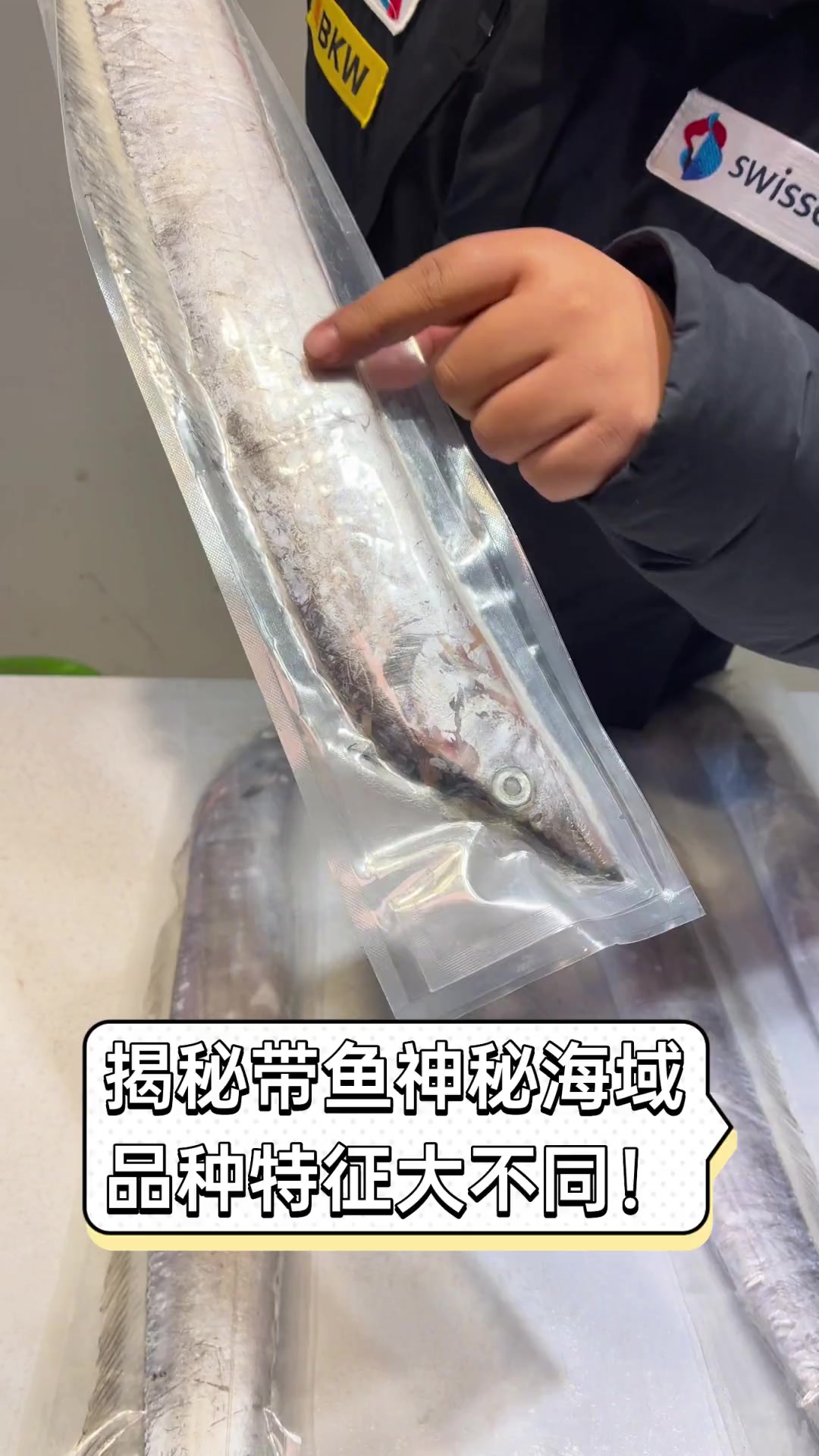 揭秘带鱼神秘海域,品种特征大不同!