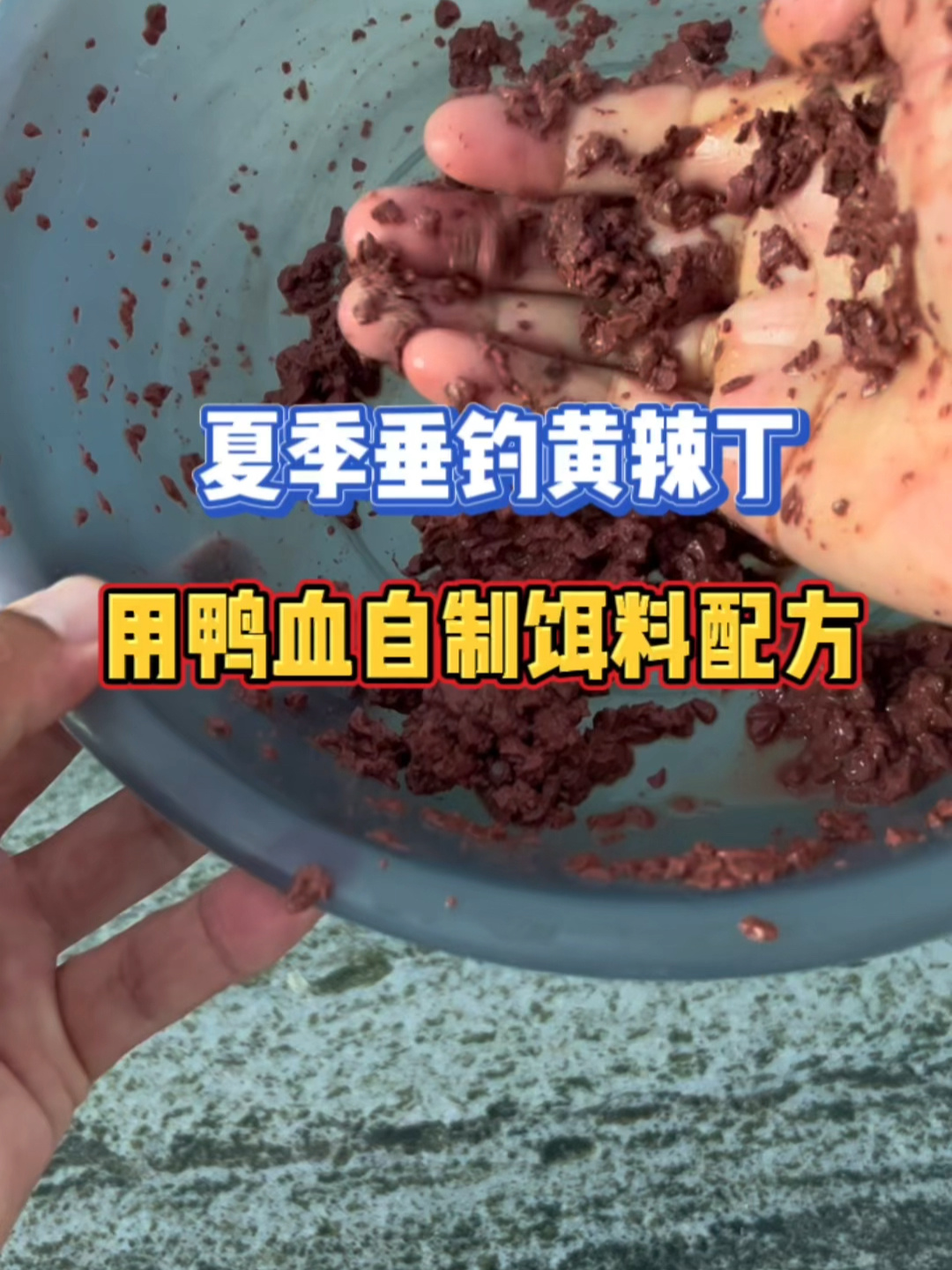 夏季专攻黄辣丁兼钓大鲫鱼大鲤鱼饵料配方