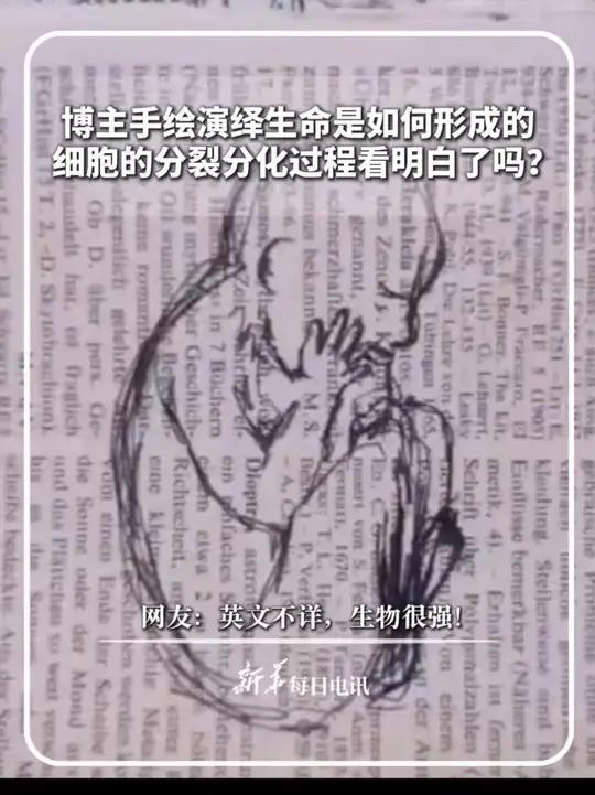 博主手绘演绎生命是如何形成的,细胞的分裂分化过程看明白了吗?网友:英文不详,生物很强!#新
