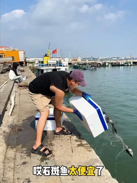 十几块钱一条的龙胆石斑鱼都没人要,今年真的太难了