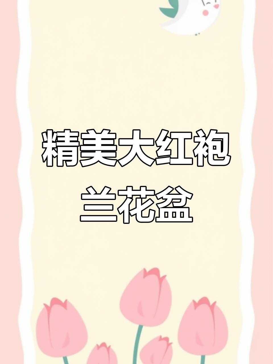 大红袍兰花盆,匠心制作,六寸盆完美套用
