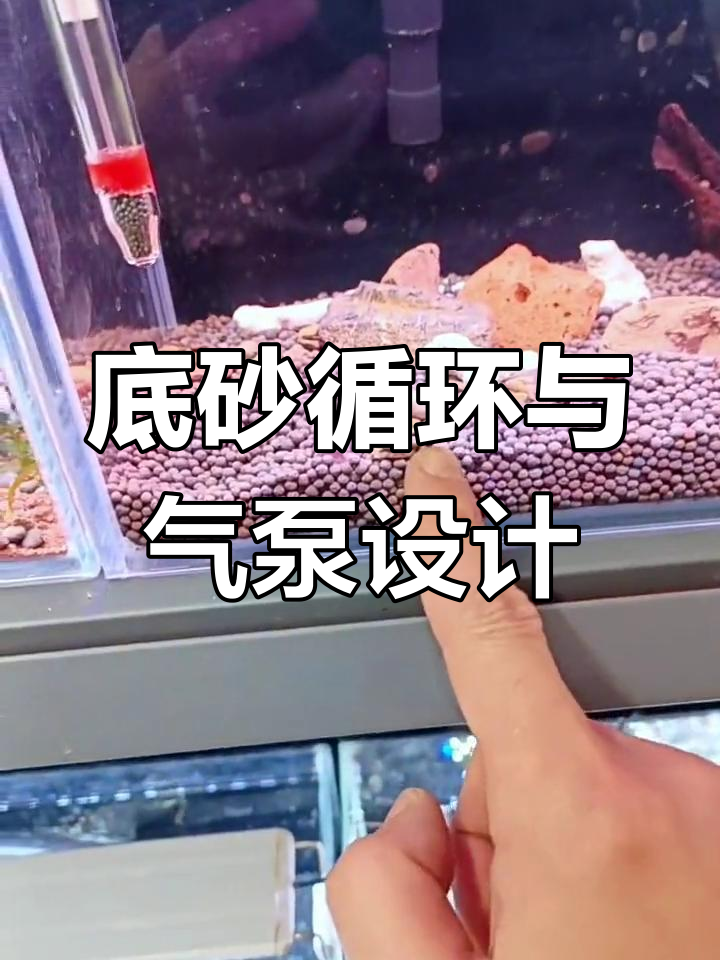 底滤板过滤系统揭秘:如何让鱼缸更干净?