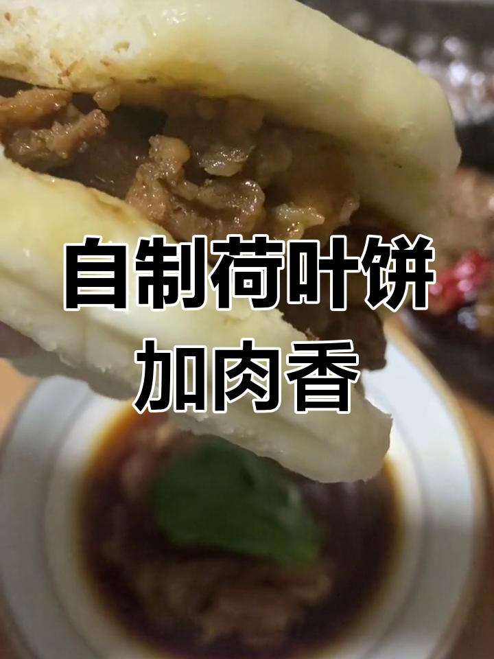 陕西特色荷叶饼,搭配条子肉夹馍,香气扑鼻让人怀念