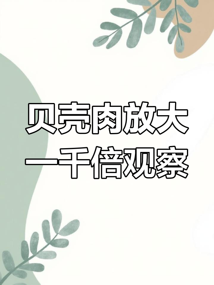 显微镜下看贝壳肉,寄生虫竟然这么多!