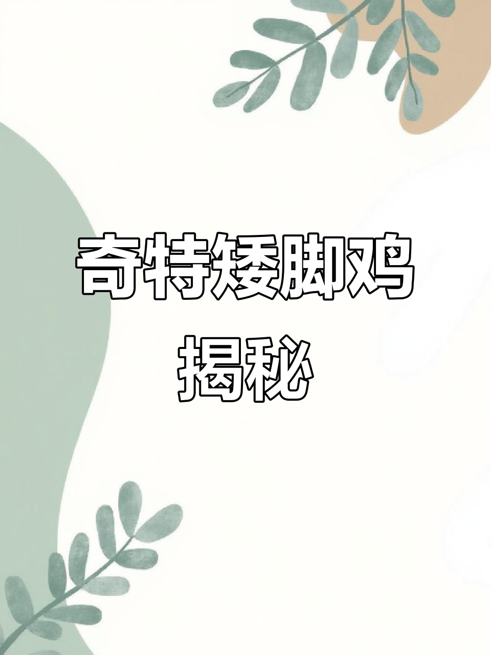 塞布莱特矮脚鸡:独特线条羽毛,竟是30年研究成果
