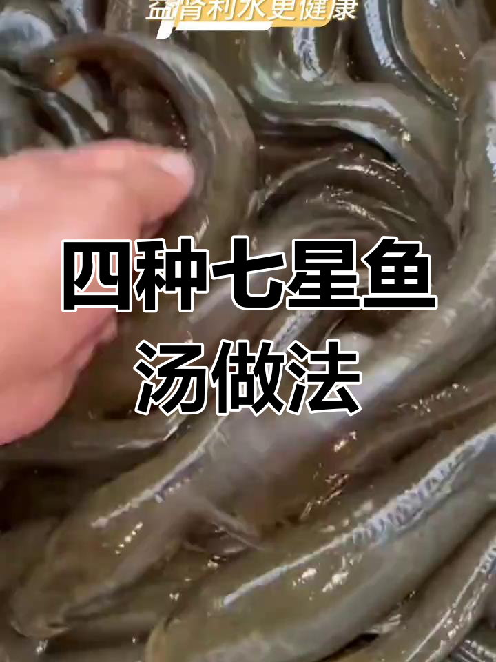 冬季七星鱼汤,四种滋补做法让你暖心又养生