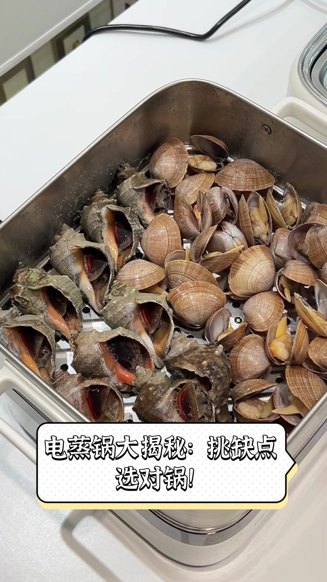 电蒸锅大揭秘:挑缺点,选对锅!