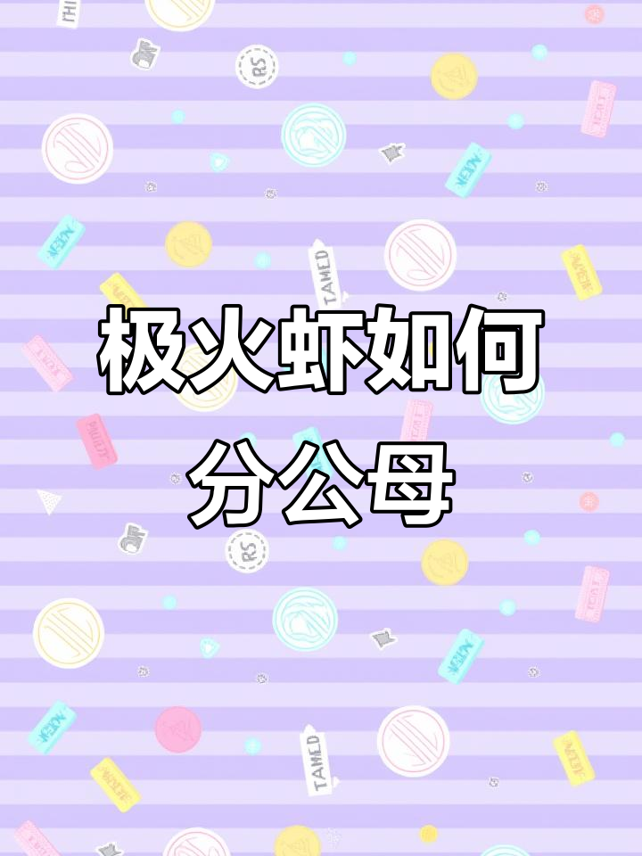 公母极火虾怎么分辨？公虾一直在挖，母虾肚子大