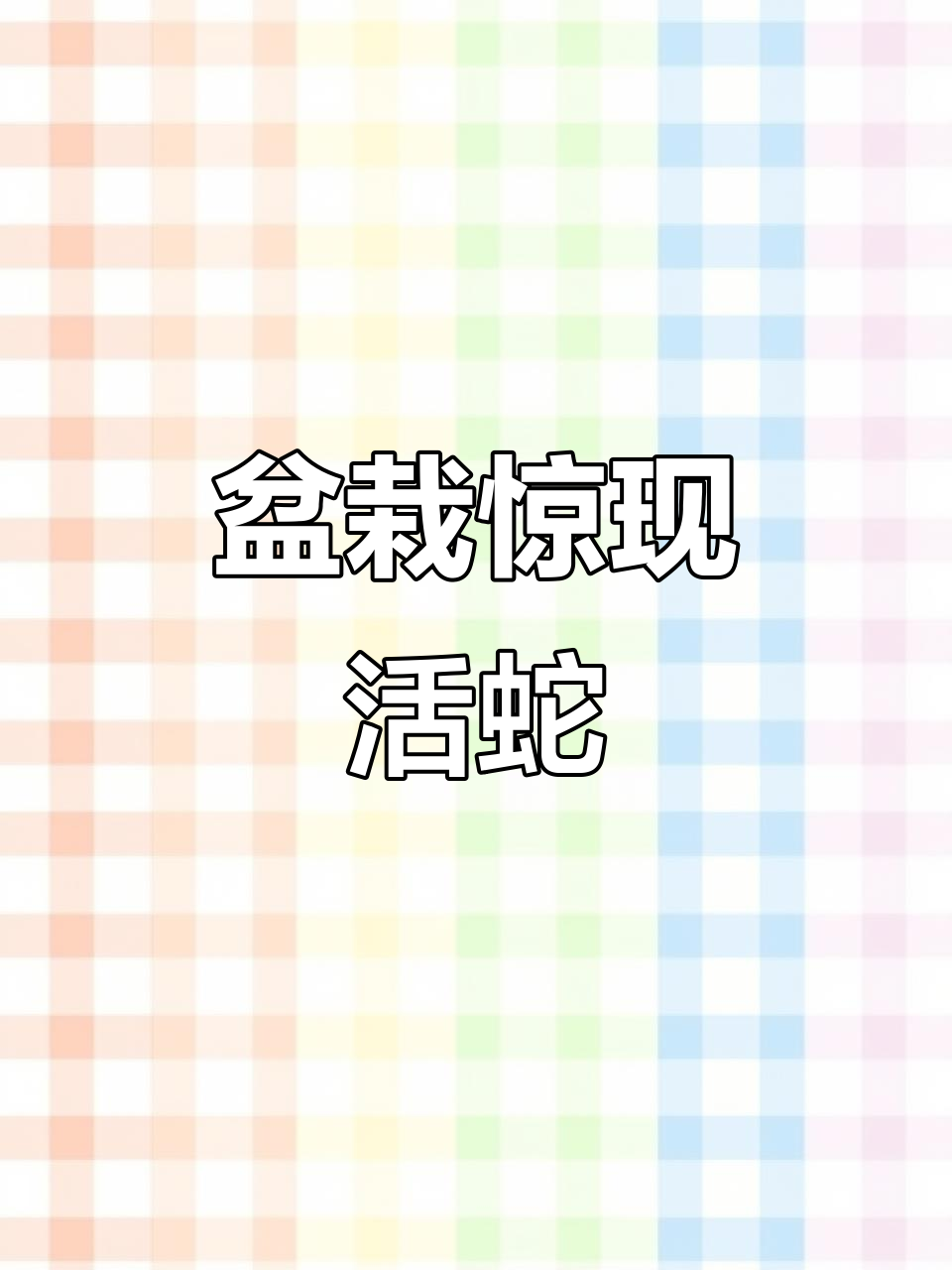 男子网购盆栽,竟发现10条活蛇!原来卵藏在土里孵化