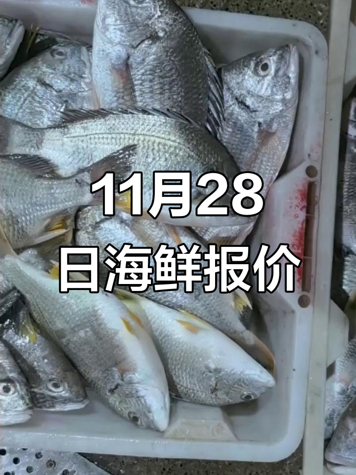 11月28日海鲜市场行情大揭秘,小青龙、黑虎虾等价格一览