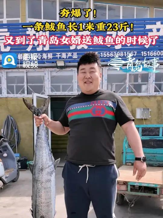 “鲅鱼跳,丈人笑!”又到了青岛女婿送鲅鱼的时候了,请“老丈人”们在家做好准备#青岛故事 #