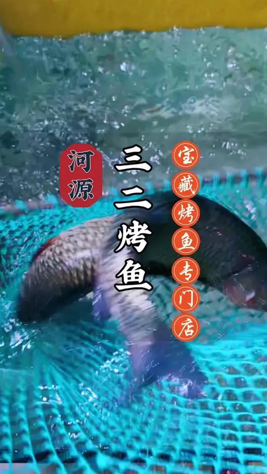 河源的宝藏烤鱼店～