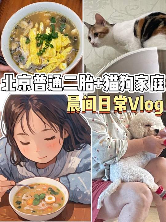 北京二胎猫狗家庭晨间日常，做嵊州豆腐年糕，遛狗趣事