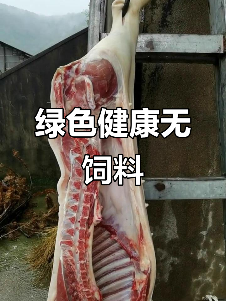 一个月不吃猪肉,试试生态放养的巴马香猪