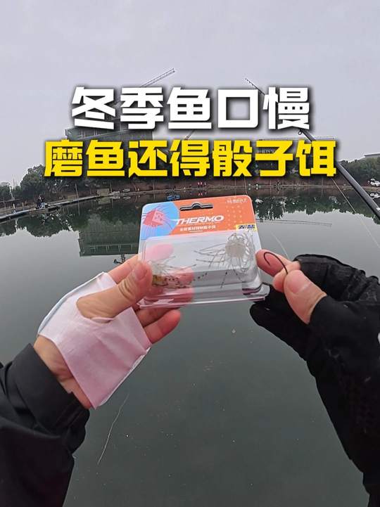 冬季鲈鱼口慢，用骰子饵路亚磨鱼效果不错