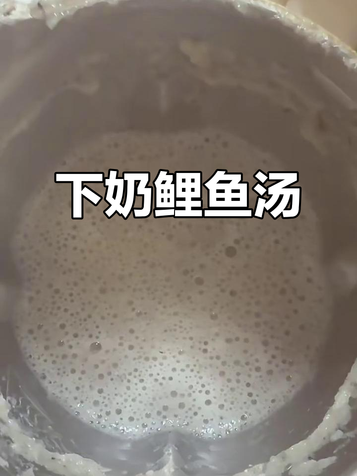 孕猫下奶秘方:鲫鱼汤轻松搞定