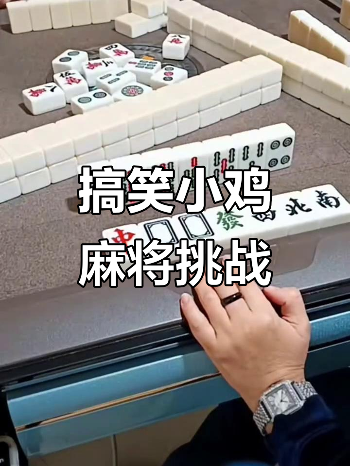 小鸡麻将大作战，三米对决笑料百出