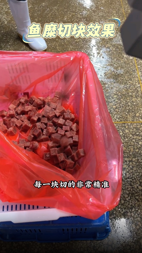 数控三维切丁机,冷冻鱼糜切块,尺寸精准