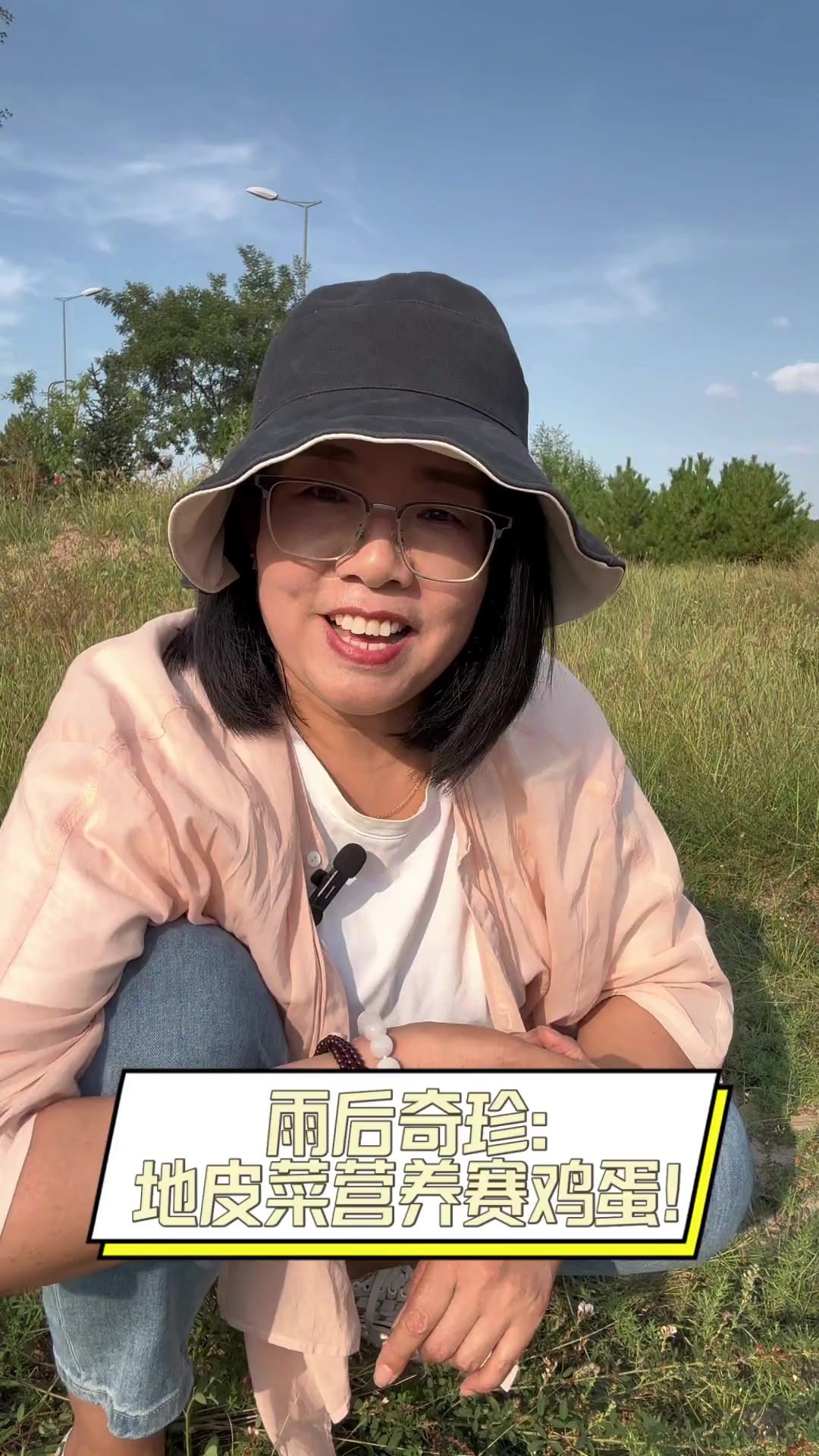 雨后奇珍:地皮菜营养赛鸡蛋!