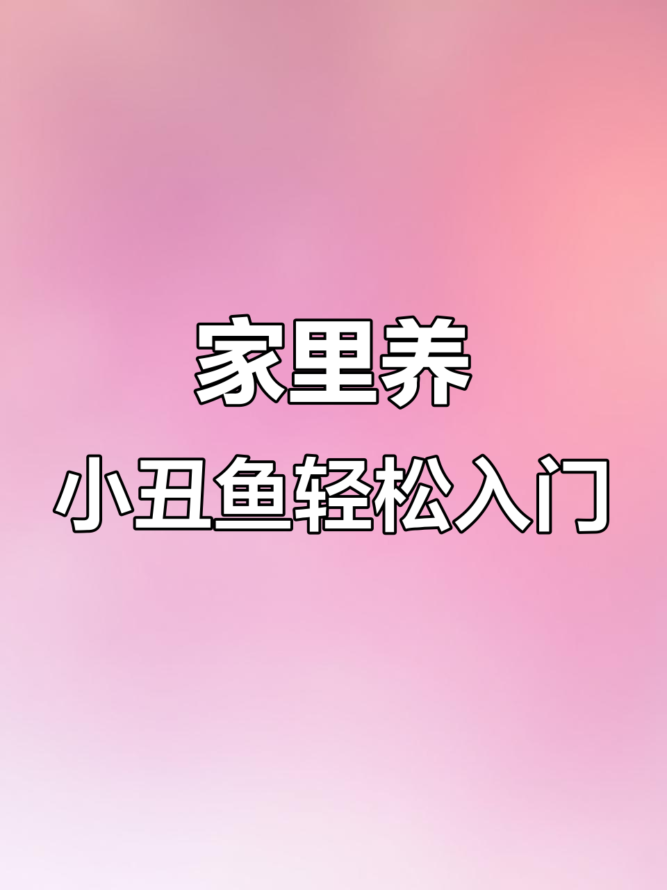 小丑鱼魅力无法挡，海缸养殖轻松入门