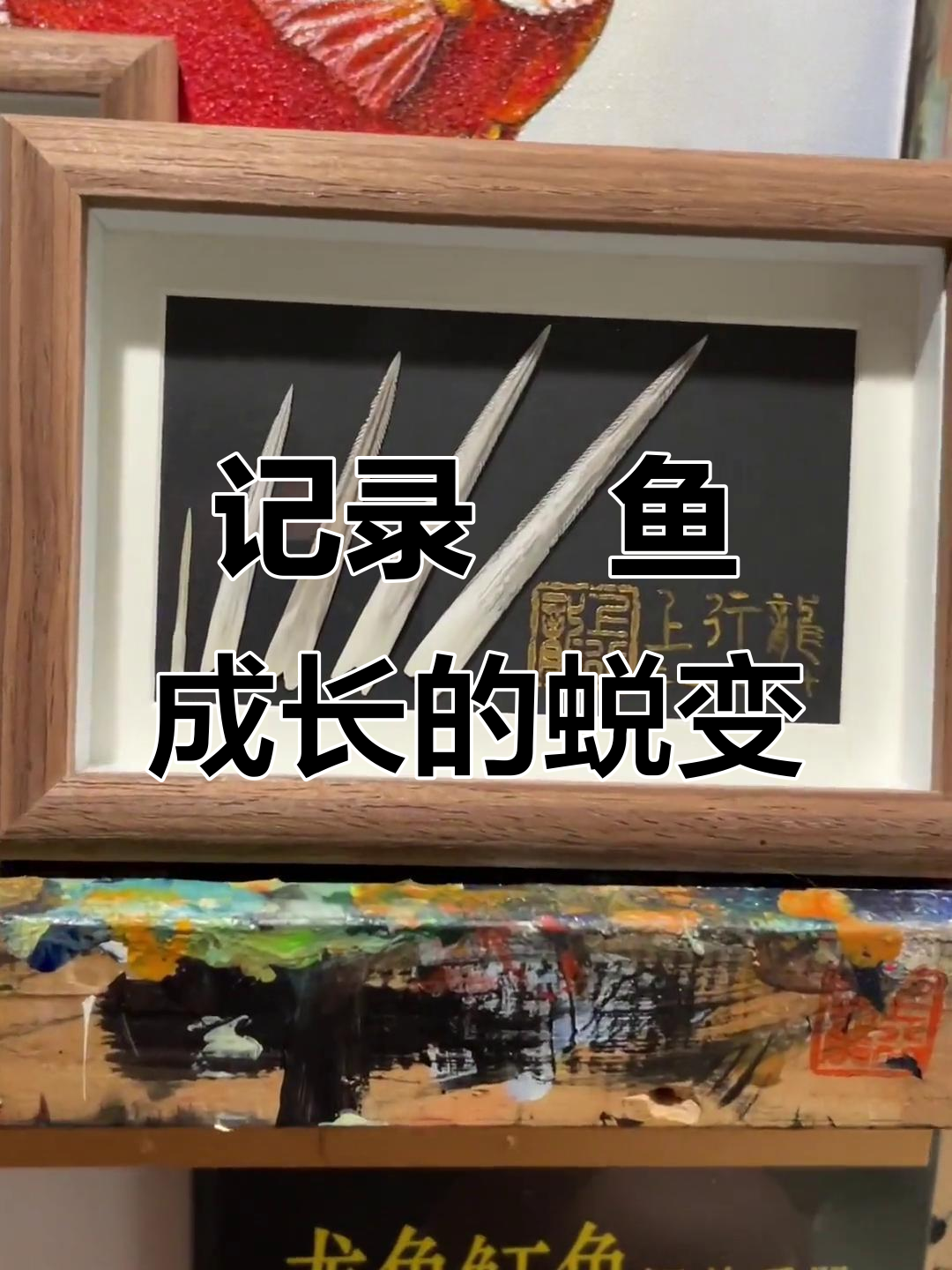从小鱼到毒刺,魟鱼的成长之路