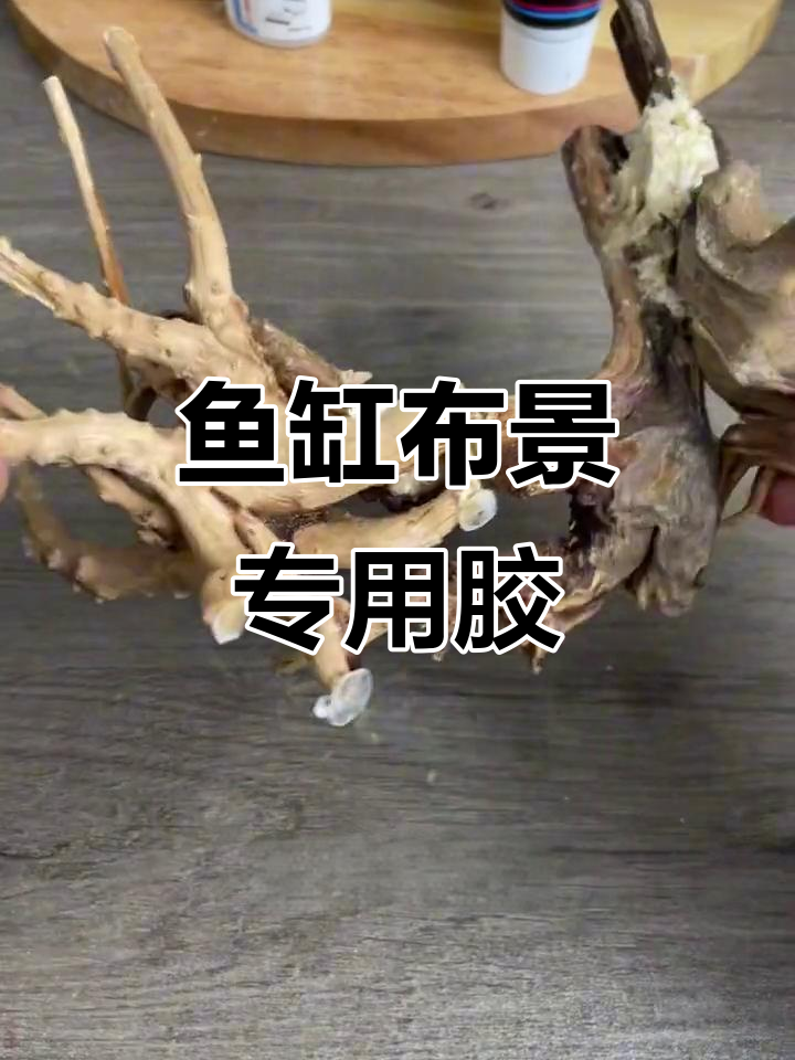 鱼缸造景骨架胶水,轻松粘沉木、石头与杜鹃根