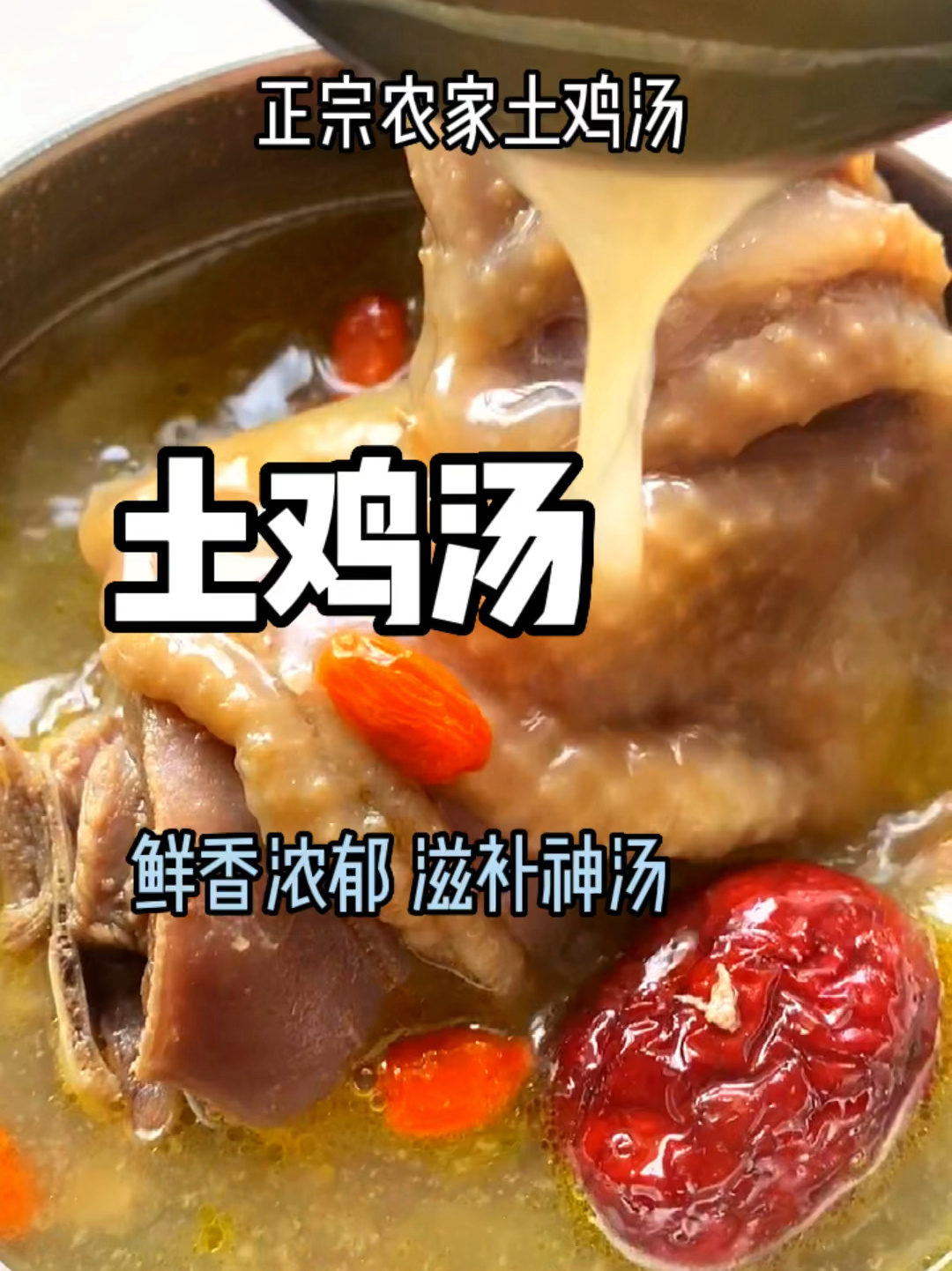 滋补神汤土鸡煲