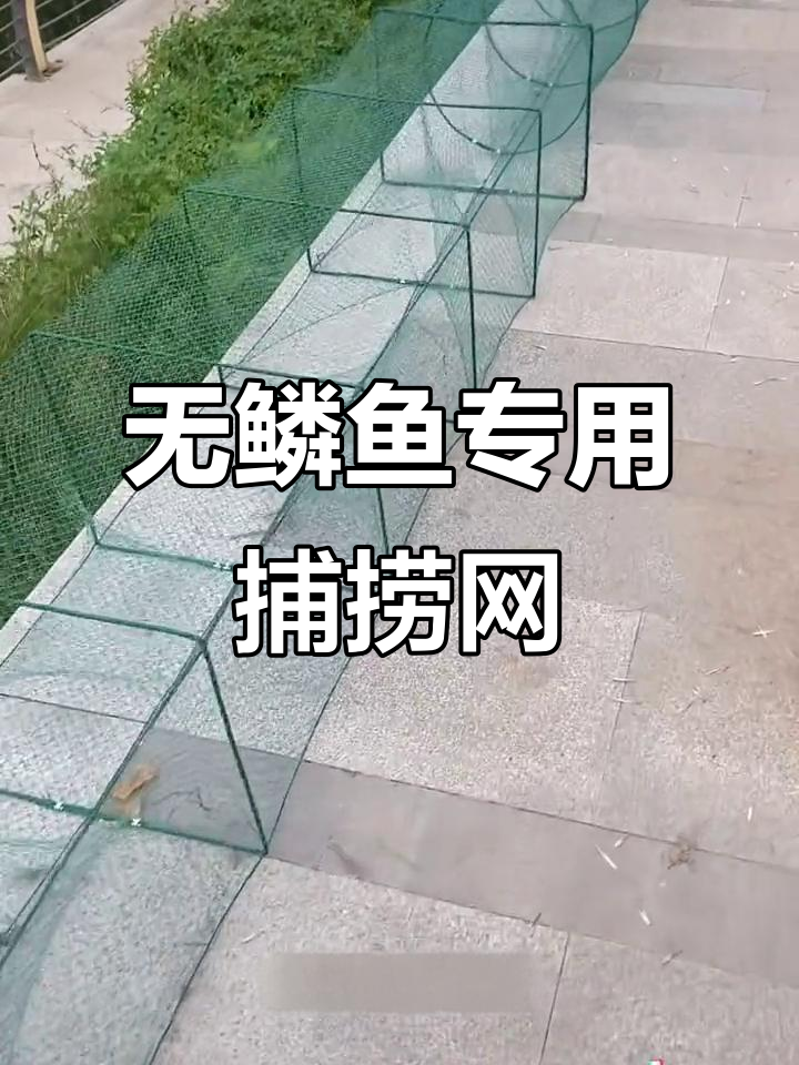 鲶鱼黄骨专用捕捞网,大尺寸无鳞鱼地笼
