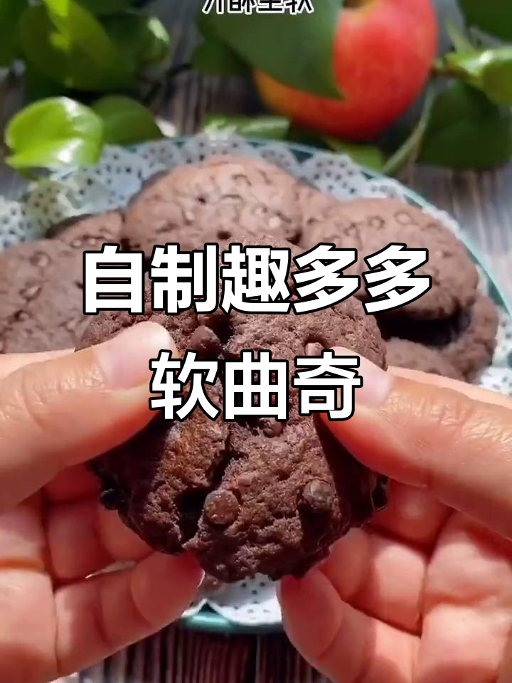 轻松自制趣多多软曲奇,简单又美味