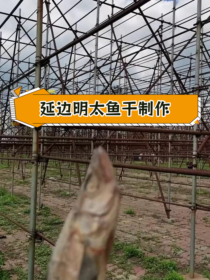 明太鱼干的传统晾晒工艺揭秘