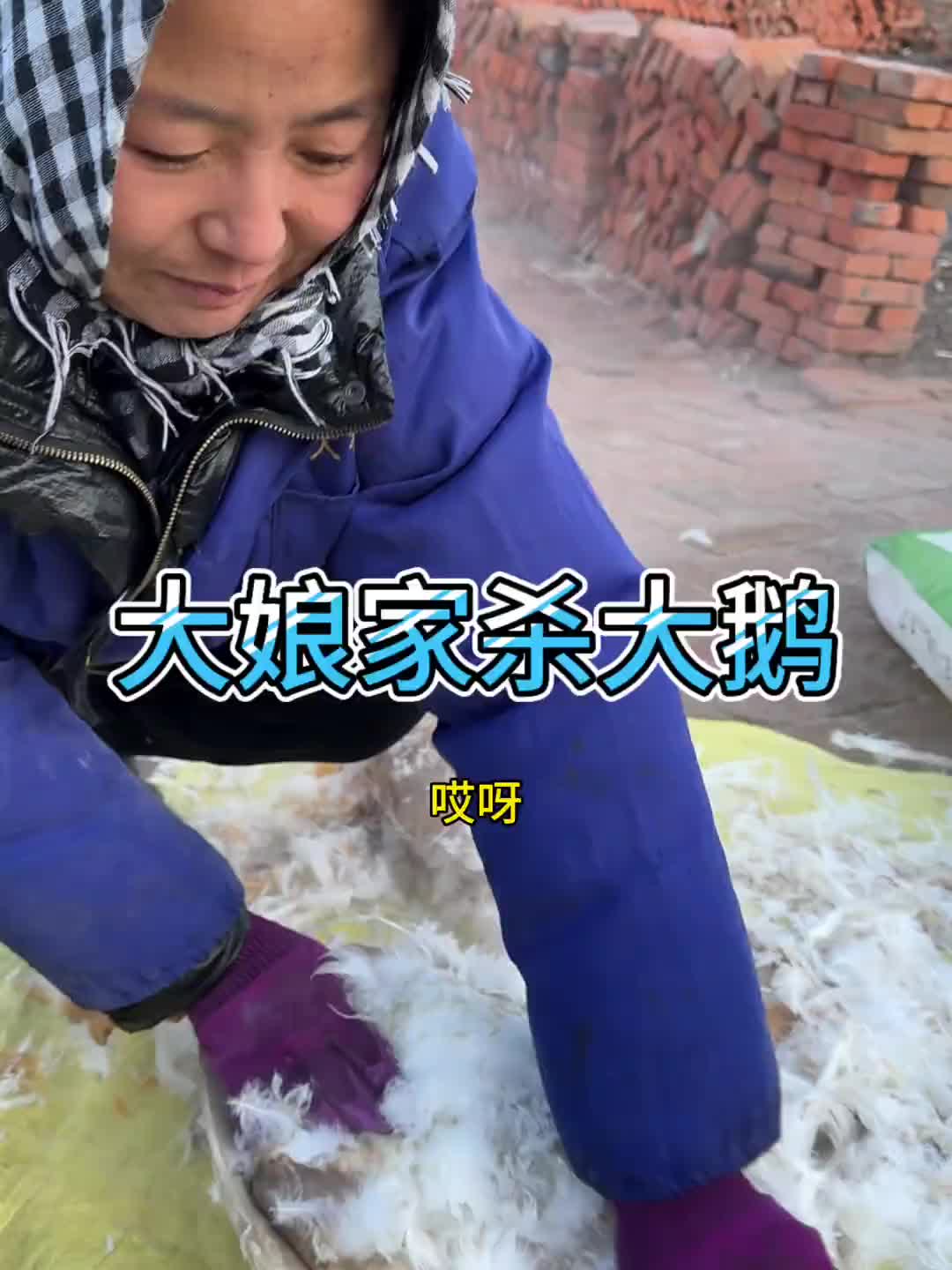 猫冬杀大鹅 带你们看看农村杀大鹅什么场面