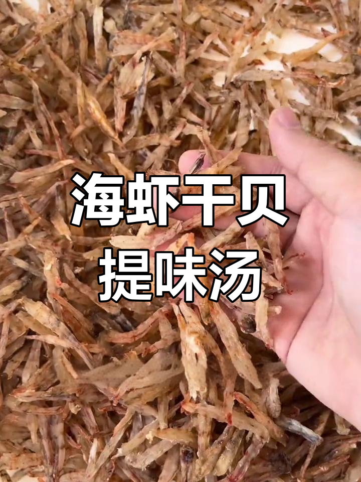 海南野生海虾与干贝,煲汤更鲜美