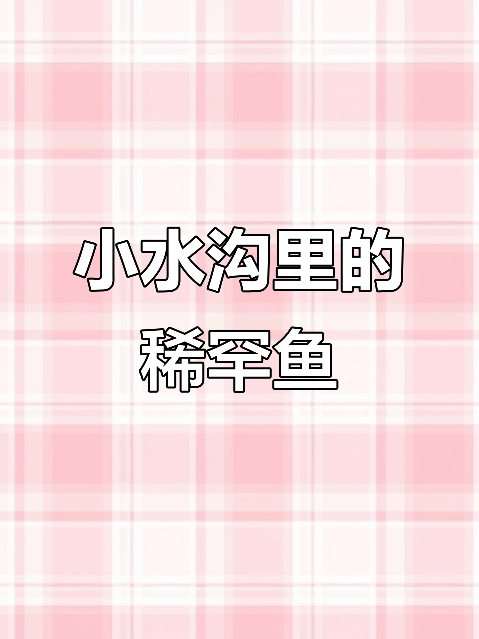 昆明小水沟惊现稀有鳑鲏，钓位大揭秘！