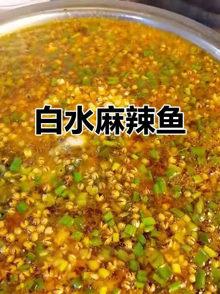 白水煮麻辣鱼,川味十足的独特做法