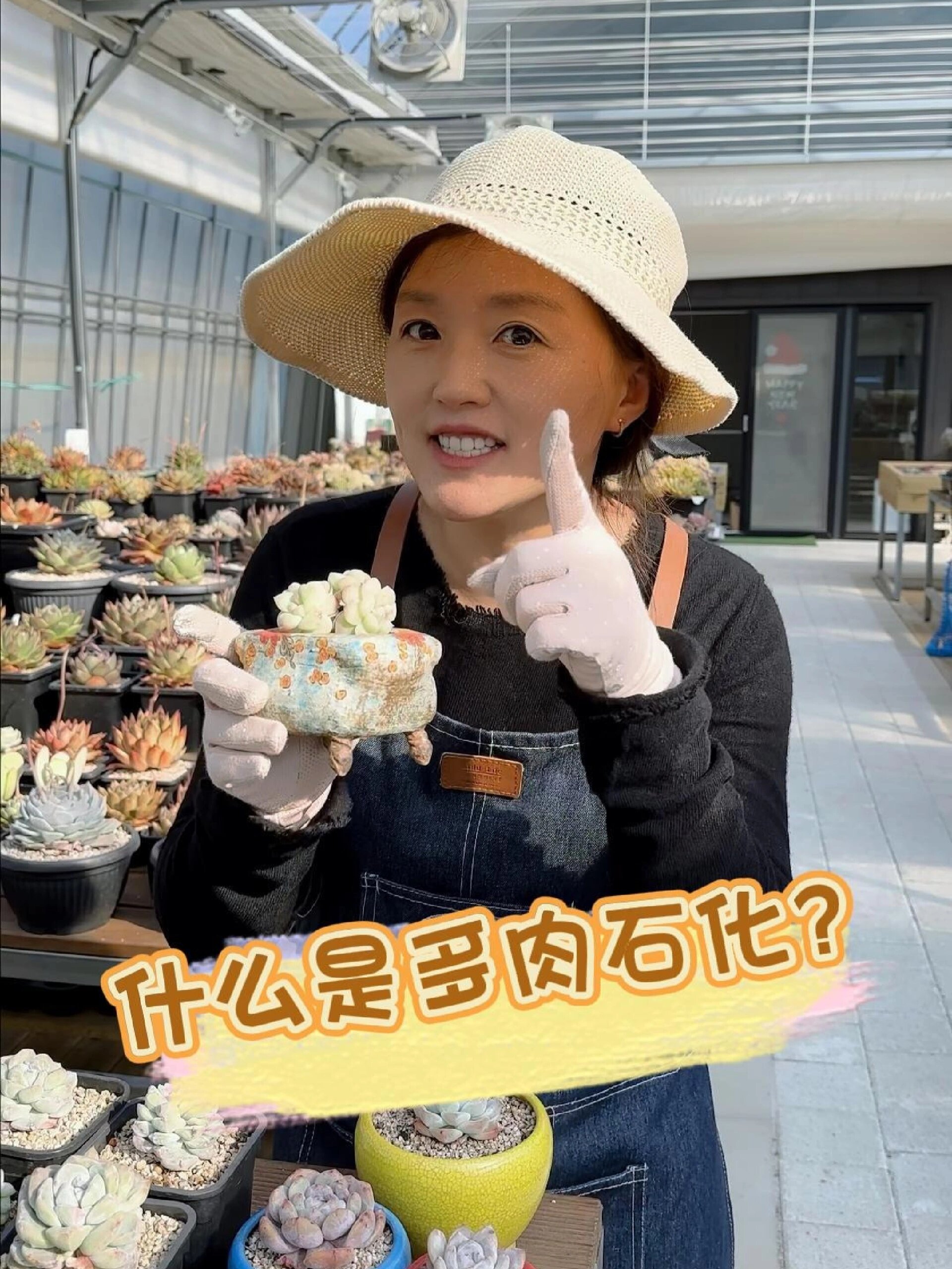 什么是多肉石化?