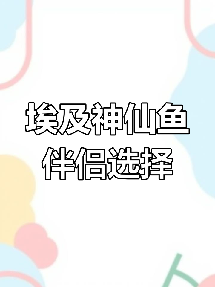 埃及神仙鱼混养推荐,适合的伴侣鱼类大揭秘