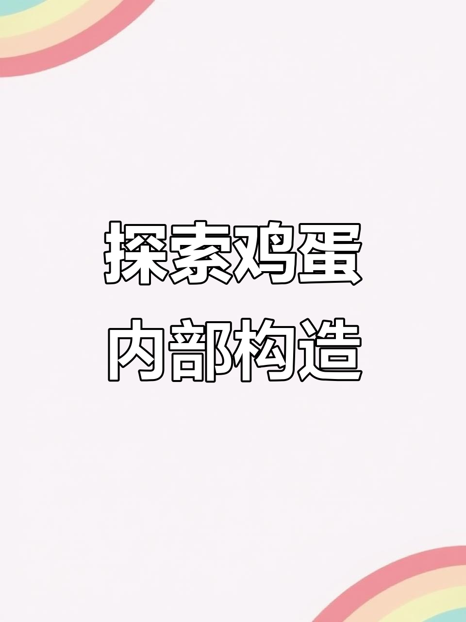 揭秘鸡蛋结构:从软壳到卵黄的营养奥秘