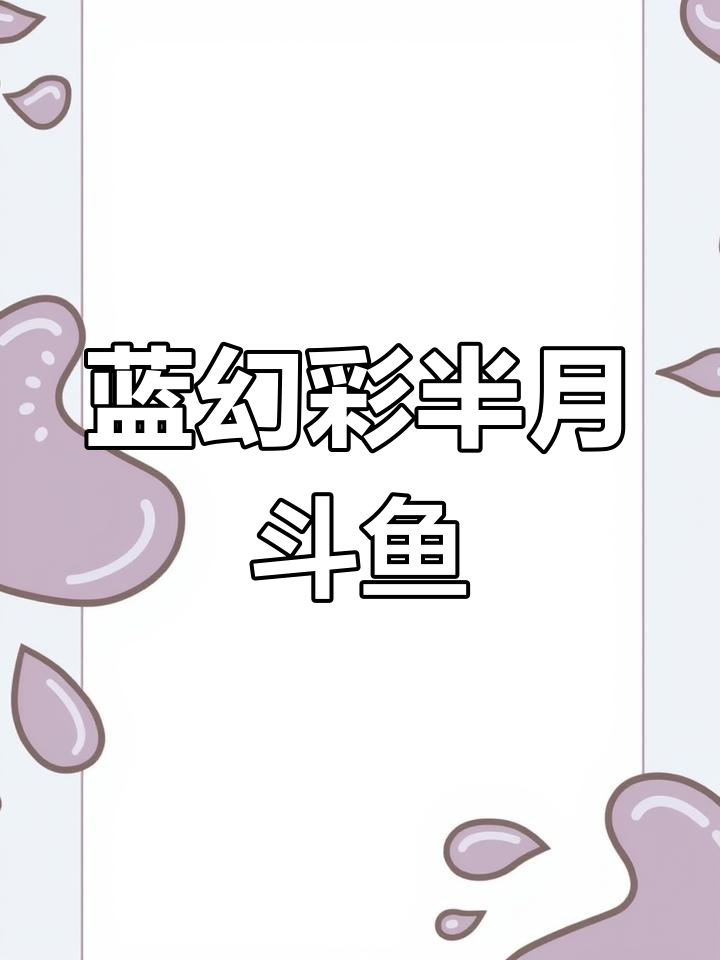 蓝色渐变斗鱼,优雅半月公鱼的养护技巧