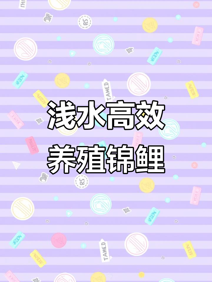 浅水也能养出健康锦鲤，水质清澈效果惊人