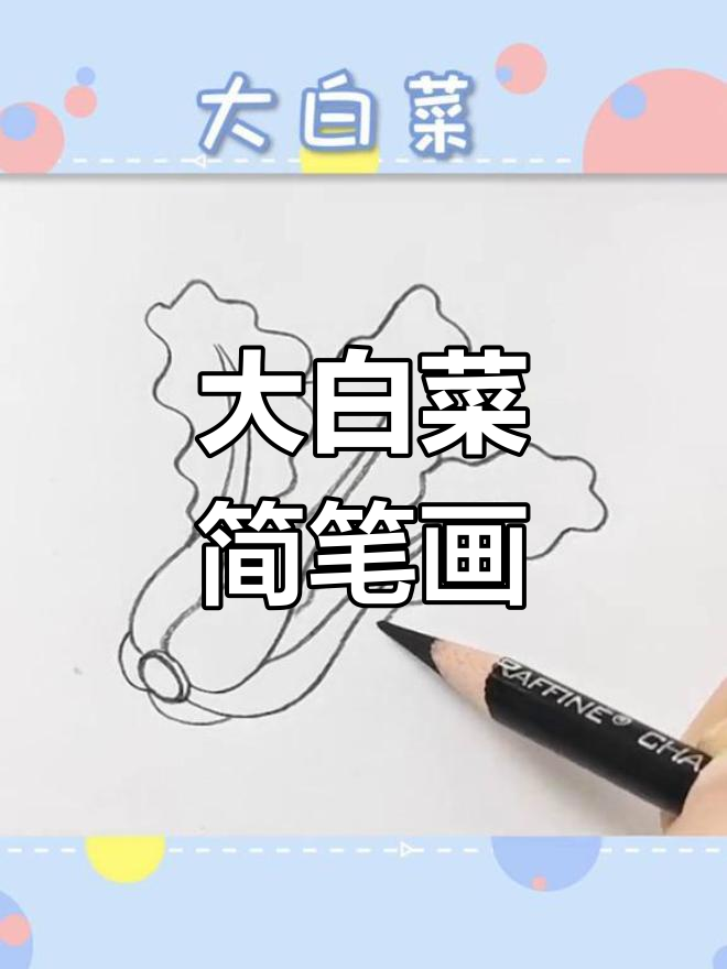 晚餐大白菜,简单又美味!一起画个可爱的大白菜吧