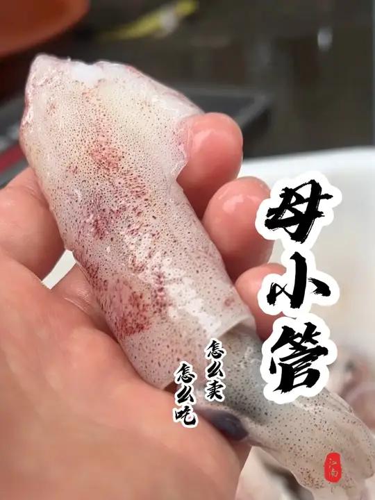 学们,这个鱿鱼一斤27贵不贵?怎么吃最好吃呢?我今天这个新鲜吗